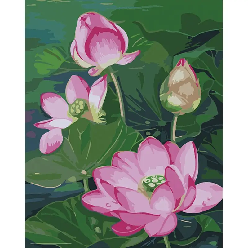 

Painting by numbers Lotus pond lotus root DIY Oil Canvas painting kit art handpaint Home Decoration Christmas For Home Decor Art