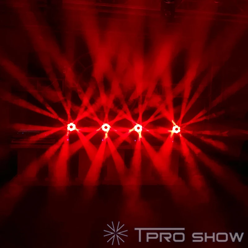 Bee-eyes-moving-head-feature-3