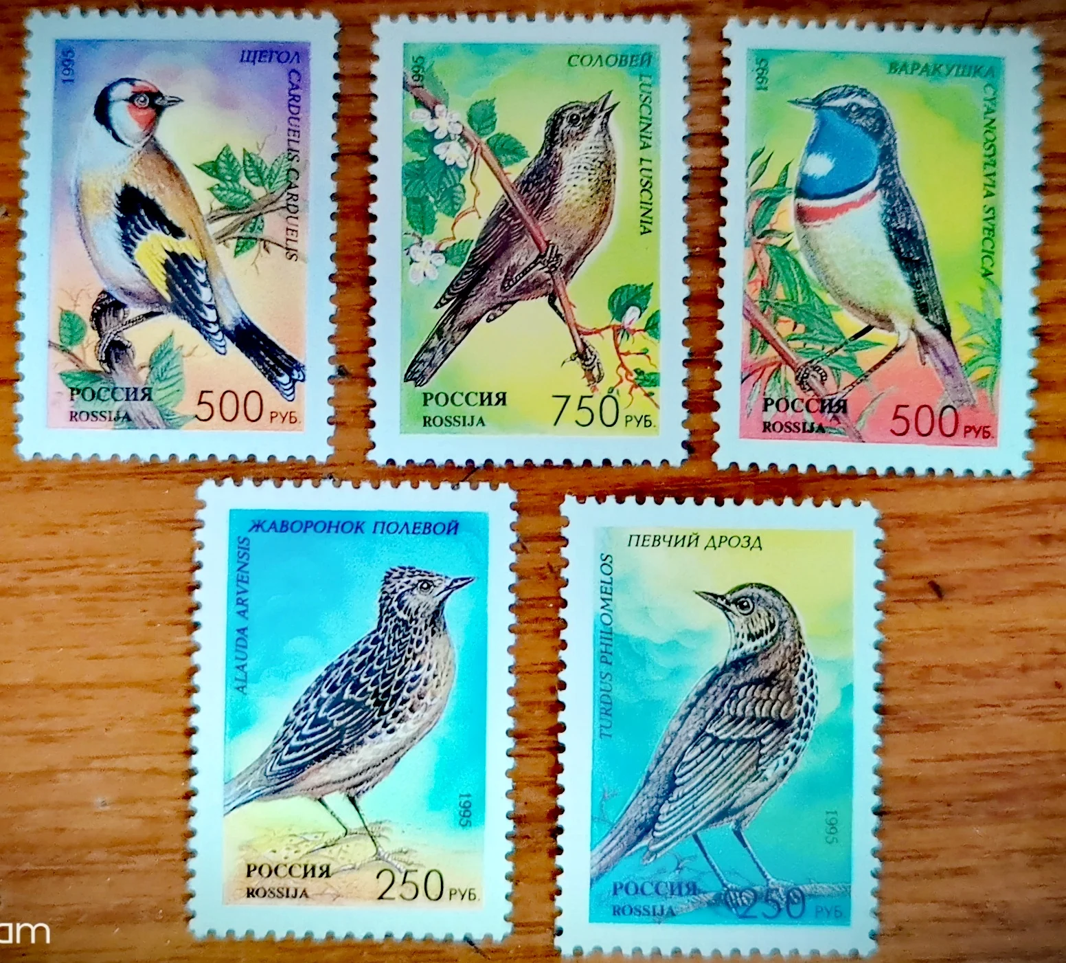 Pomarrosas y Cerezos: La bendición del canto de los pájaros Pomarrosas y Cerezos: La bendición del canto de los pájaros