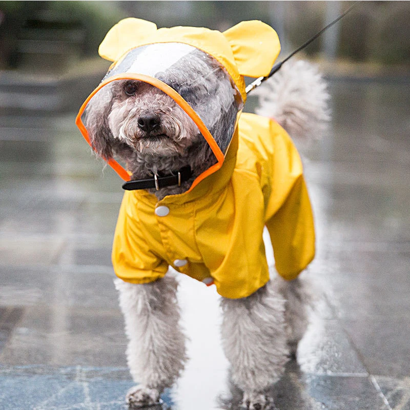 Chubasquero con capucha para perro, ropa impermeable perros pequeños, abrigos transpirables transparentes para cachorros al aire libre, amarillo, rojo, verde|Impermeables para perro| -