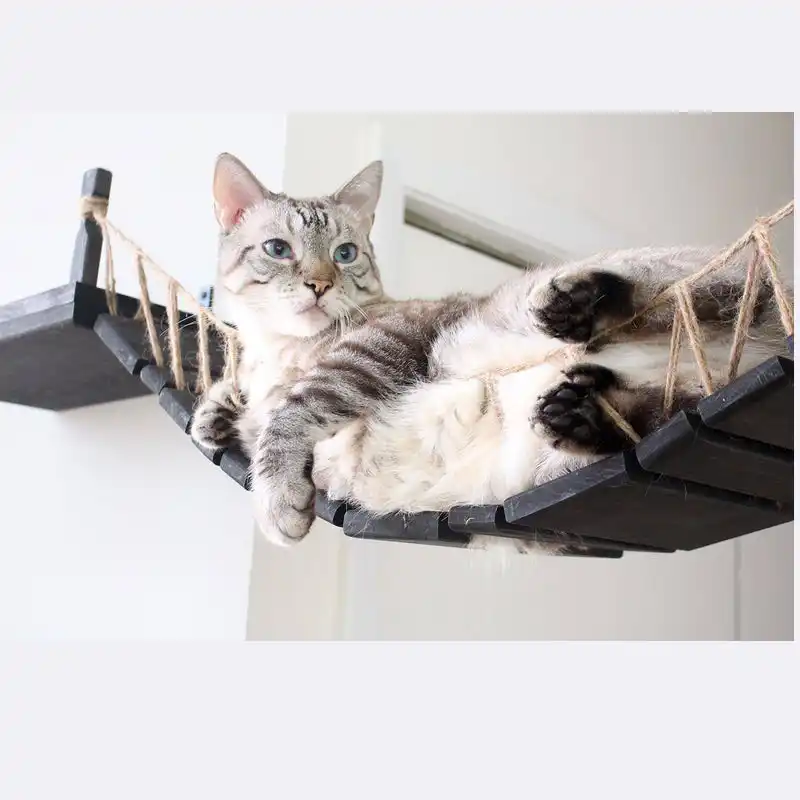 Arbre A Chat En Bois Avec Pont A Cordes Tour De Maison Murale En Sisal Poste A Gratter Griffes De Chat Meubles Pour Animaux De Compagnie Aliexpress
