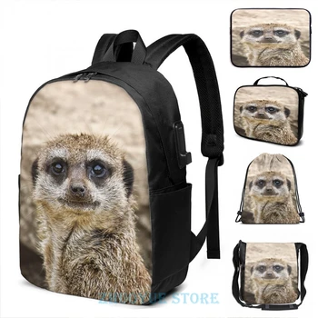 

Funny Graphic print Meerkat USB Charge Backpack men School bags Women bag Travel laptop bag