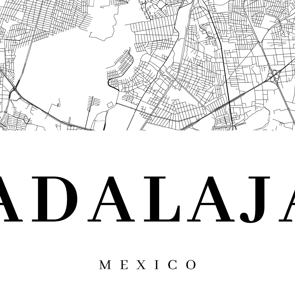 Guadalajara Map Poster Canvas Print Decor 细节图
