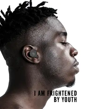 

Wireless Earphone Snowflake Printing Waterproof Bluetooth 5.0 HiFi Stereo Support Call Handsfree Headphone with Mic