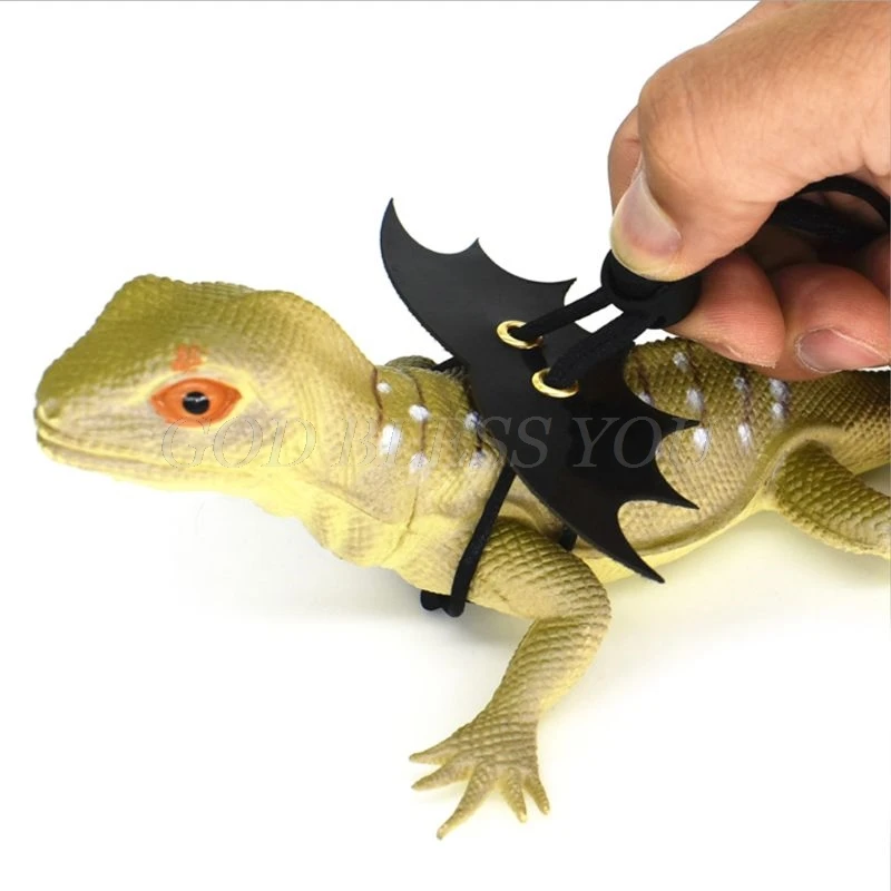 Pet Lguana ajustable alerón de estilo pequeño reptil lagarto arnés cuerda de escalada cinturón envío de la gota