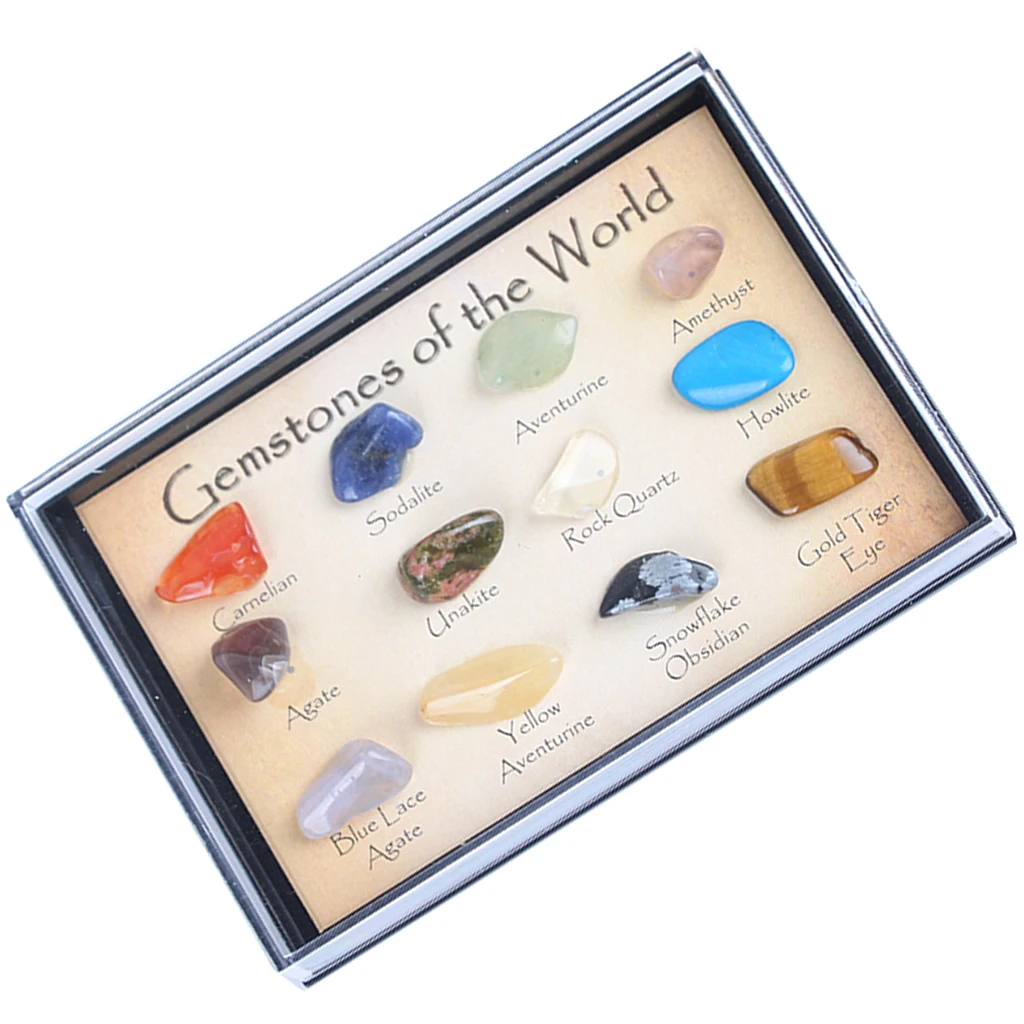 Kids Earth Science Toy Ro & Mineral Collection (15pcs) In A Display Case