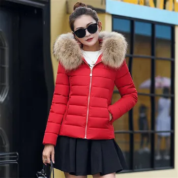 

Winter Jacket Women Clothing 2019 Winter Coat Women fur collar hooded warm winter coat Parkas Coat