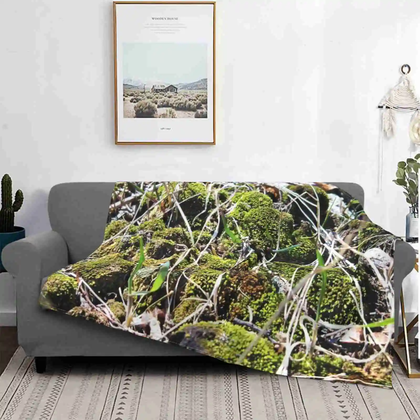 Miniature Biome Air Conditioning Soft Coperta Moss Mossy Biome Nature Rocks Growth Miniature Mini Ecosystem