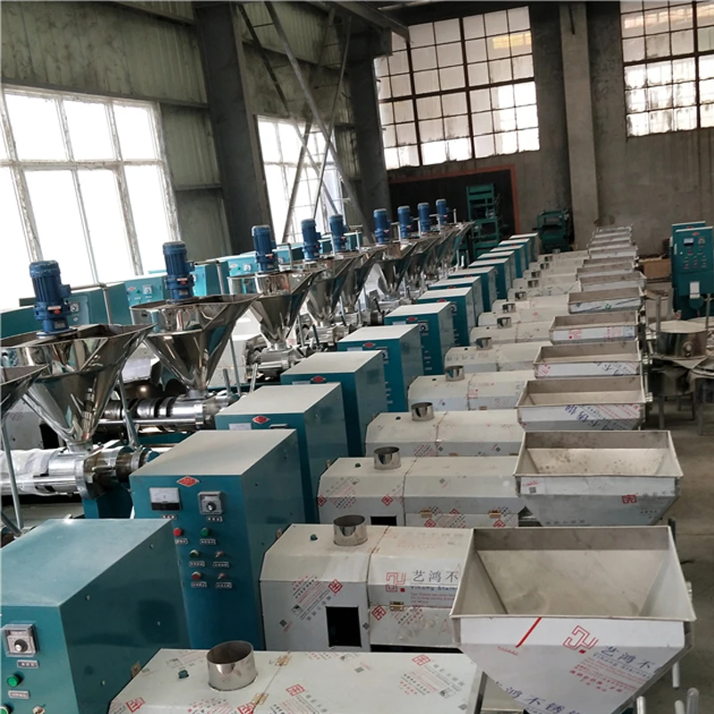 Commercial Peanut Oil Press Machine Pine Coconut Nut Kernel Squeeze 30-60 Kg/H Extractor Business 6
