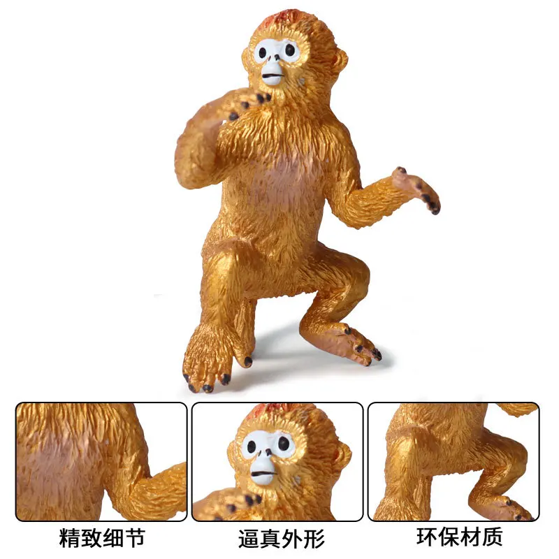 Children Model Wild Animal World Static Monkey Small Golden Monkey Model Solid Decoration Toy