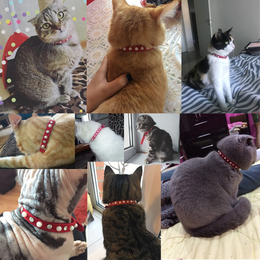 Cat Collar With Bell Name Pet Collar For Cats Personalized Puppy Collars Leash Cat Collar Harness