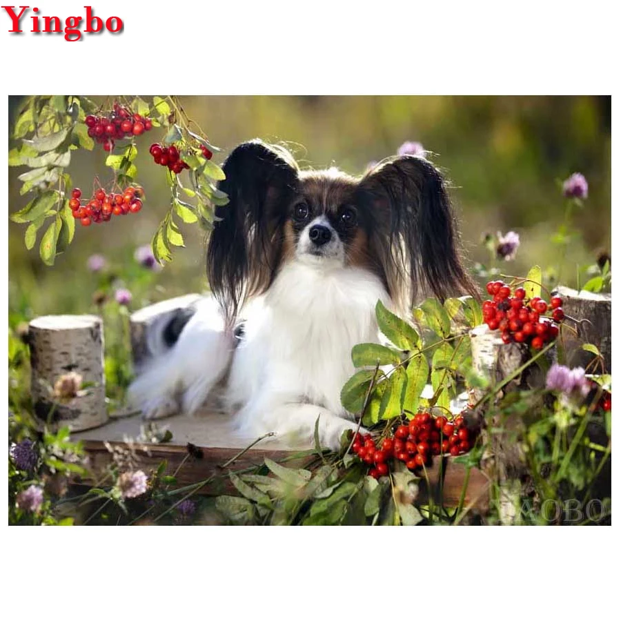 Настенные наклейки алмазная живопись Papillon dog 5d diy Стразы мозаика домашний декор