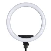Photo Studio lighting 18inch LED Ring Light Touch Control Photography Dimmable Ring Lamp No tripod for Portrait,Makeup,Video ► Photo 1/6