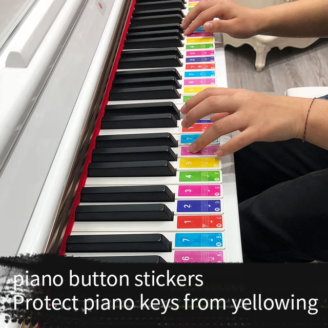 Autocollants de nom de clavier de Piano électronique, étiquette  autocollante pour notes de musique, 49 61 88 touches - AliExpress