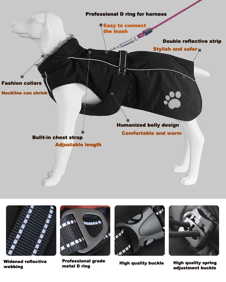 O1CN01Km77gv1Qkud1SIkBu_!!2340322015