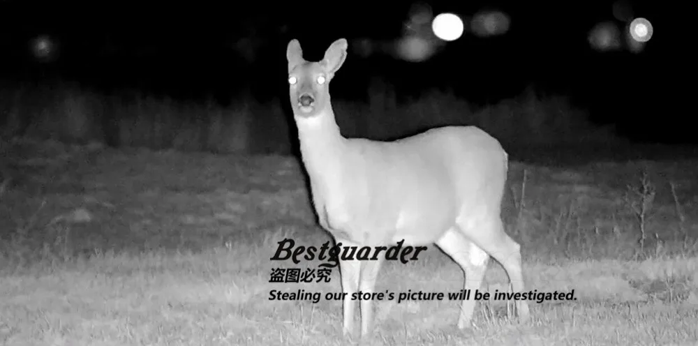night vision for hunting