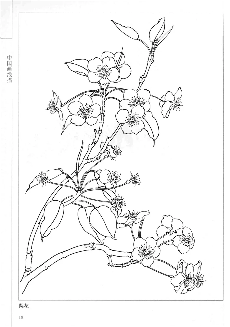 94Pages-Chinese-Painting-Hundred-Flowers-Line-Drawing-Collection-Art-Book-Adult-Coloring-Book-Relaxation-and-Anti (2)