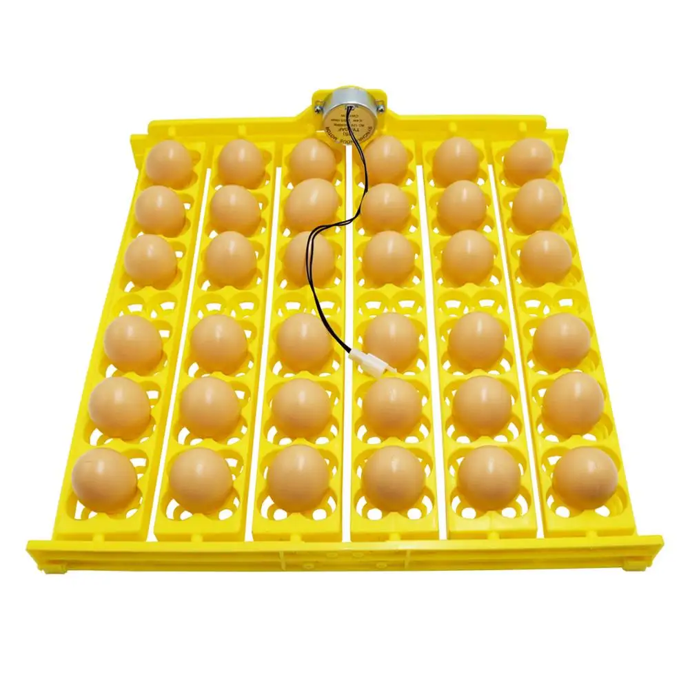 Automatic Turning Egg Tray Eggs Incubator Holder Accessory Heat Evenly and Effectively Increase The Hatching Rate Z/C 36 Eggs Incubator Tray 