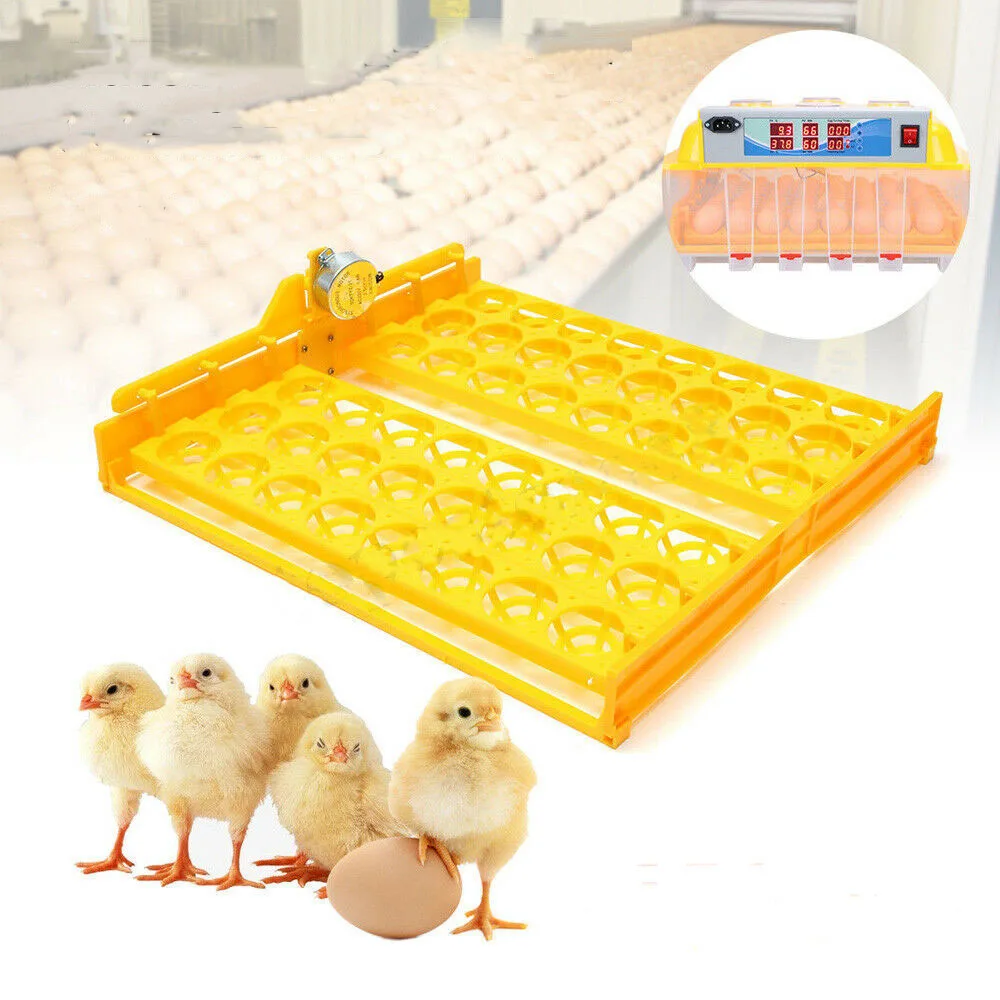 220V 56 Digital Automatic Egg Turner Tray Chicken Bird Supplies Incubators