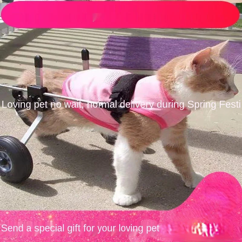 Cat Wheelchair Paralysis Fracture Pet Rear Leg Spine Injury
