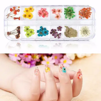 

Dried Flower Nail Decoration Natural Floral Sticker Nail Art Polish Flower Manicure Mixed DIY UV Decorations Gel Art Decals G2D2