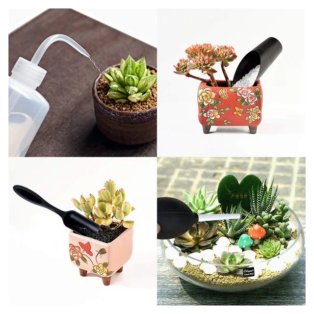 16Db Zamatos Növények Szerszámok Beállítva Mini Kerti Kézátültetési Eszközök Miniatűr Ültetvénykészlet Beltéri Növényi Ellátáshoz - Image 5