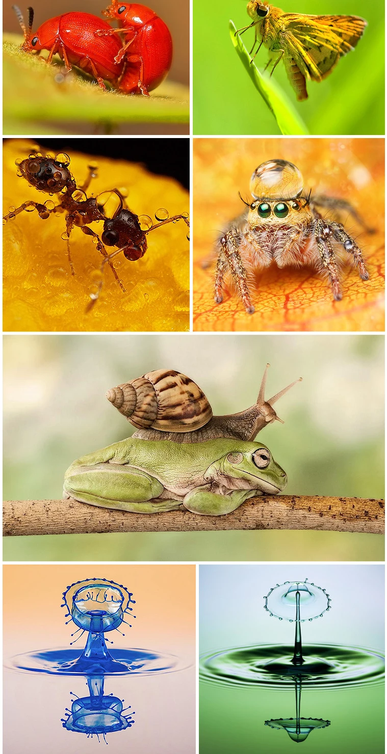 -Close-Up-Lens_05
