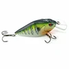 Shallow Diving Crankbait  2.75