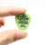 10шт Dunlop Guitar Picks Электрогитара Parts Picks Аксессуары 4Kinds Толщина 0.50 0.60 0.73 0.88 Picks