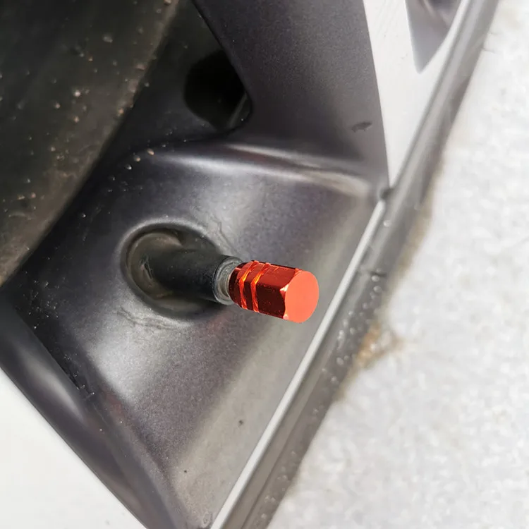 O1CN01BJaTzT2EQVoOVJmyO_!!3594628739