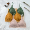 French Style Lace Bras for Women Lingerie Underwire Bralette B C Small Cup Fashion Sexy Brassiere Female Intimates Underwear ► Photo 3/6