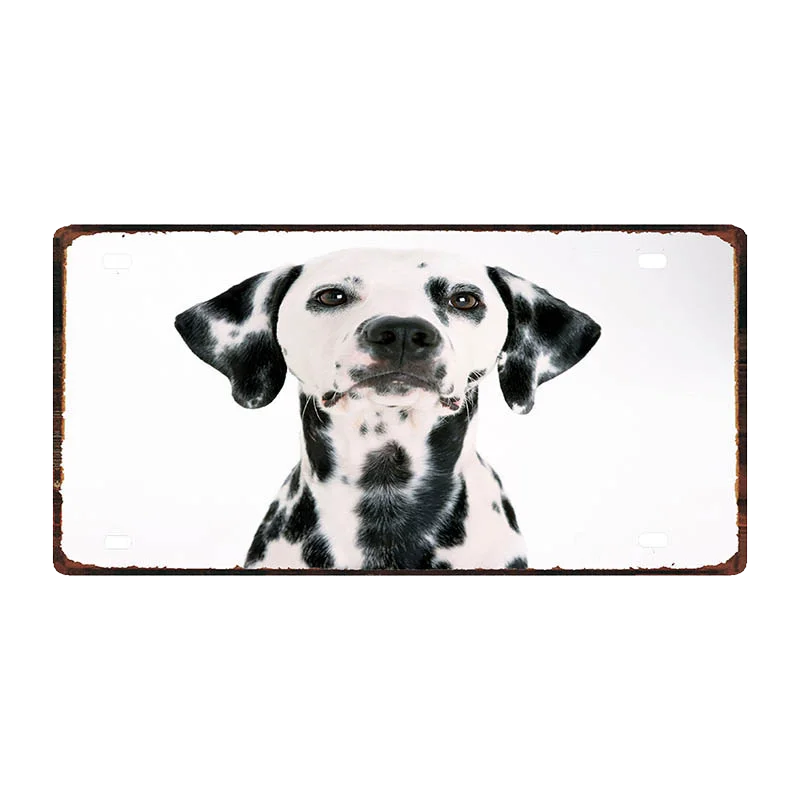 Кошка Собака 30X15 см номерной знак животных металлический знак для Wall Art Pet Shop Ресторан Хоум Винтаж декор 30X15 см DDC-0019A - Цвет: DC-0029