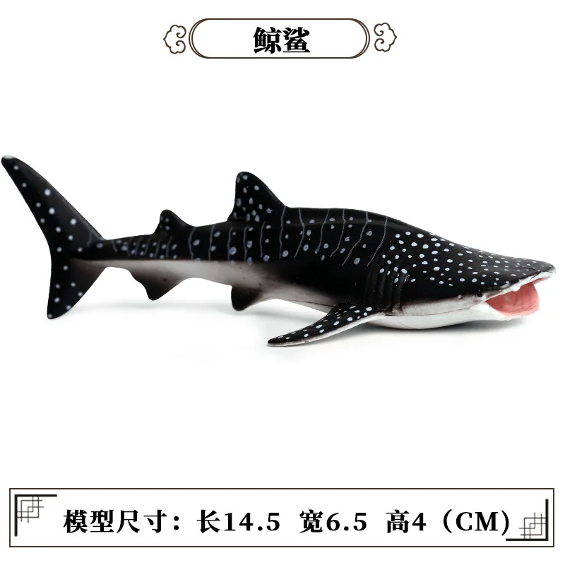 11235987107_1464955482