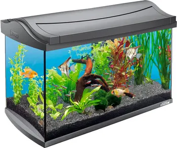

Aquarium Tetra aquaart discover line, 60 liters, 60x31x42 cm