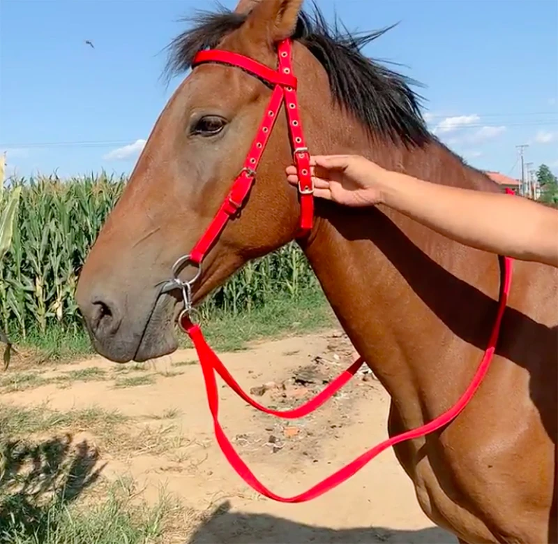 Нейлоновая лошадка Halter оборудование для верховой езды аксессуары конного спорта