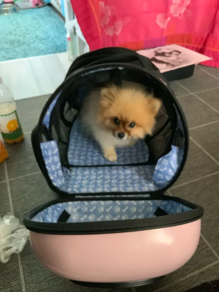 U46c851804dd74f5a8ec008970077ab93j