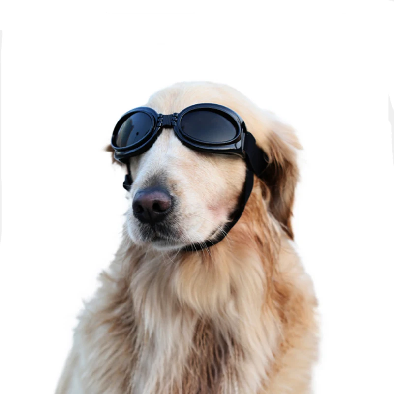 pet goggles