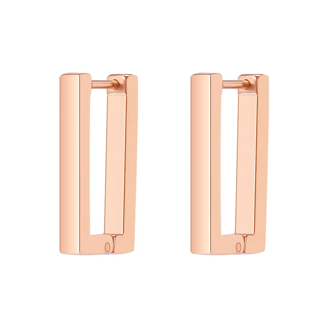 Stainless Steel Hoop Earrings for Women Men Black Rose Gold Plated Circle Round Earring Geometric Classic Cartilage Earrings EH695 Rose Gold