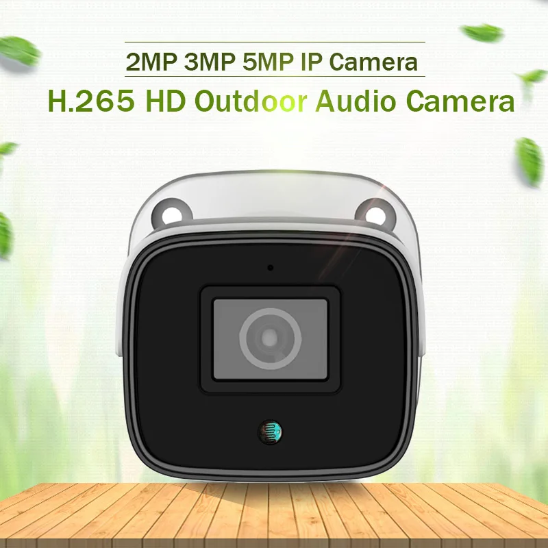 IP камера видеонаблюдения HD Audio водонепроницаемая инфракрасная дневного и