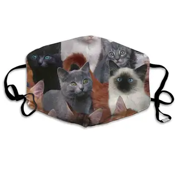 

Garde Art Studio Reusable Face Masks, Cat Kitten Lovely Healthy Durable Polyester Half Face Masks, Mouth Face Masks Comfy