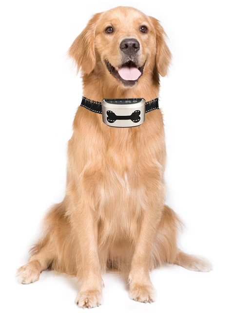 Coleira De Treinamento Anti-latido Para Cachorros, Ajustável, Elétrica,  Recarregável, À Prova D'água, Choque/seguro, 2021 - Coleiras, Arreios E  Guias - AliExpress