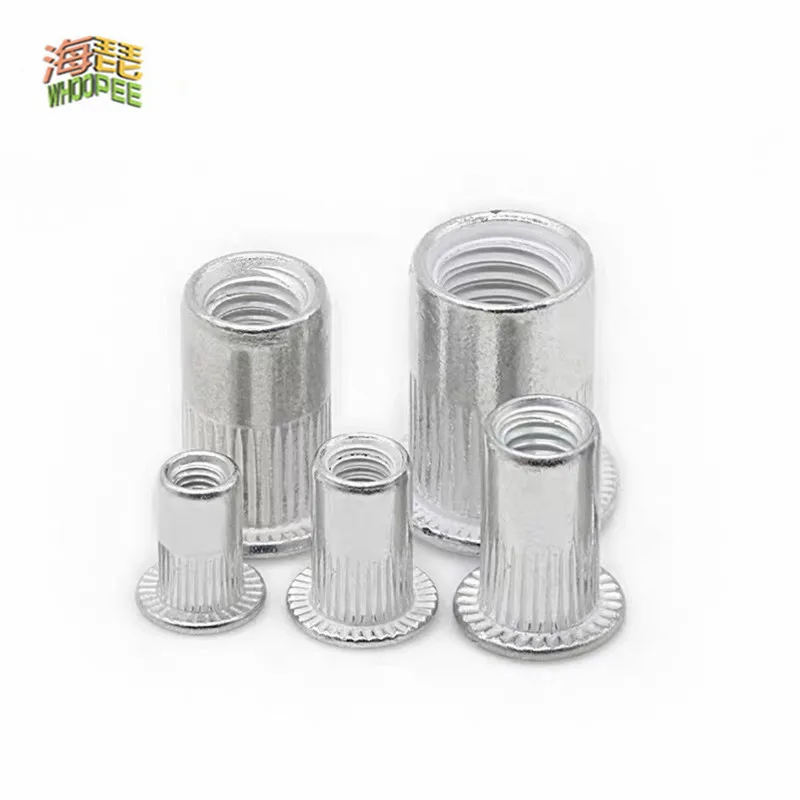 Rivet Nut Threaded Insert Nut Insert Nut Rivet Lock Nuts M3 M4 M5 M6 M8 M10 M12 Aluminum Alloy 50pcs 20Pcs