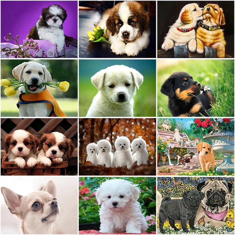 

DIY 5D Diamond Painting Dog Mosaic Full Round Drill Cross Stitch Diamond Embroidery Rottweiler Animal Rhinestones Wall Sticker