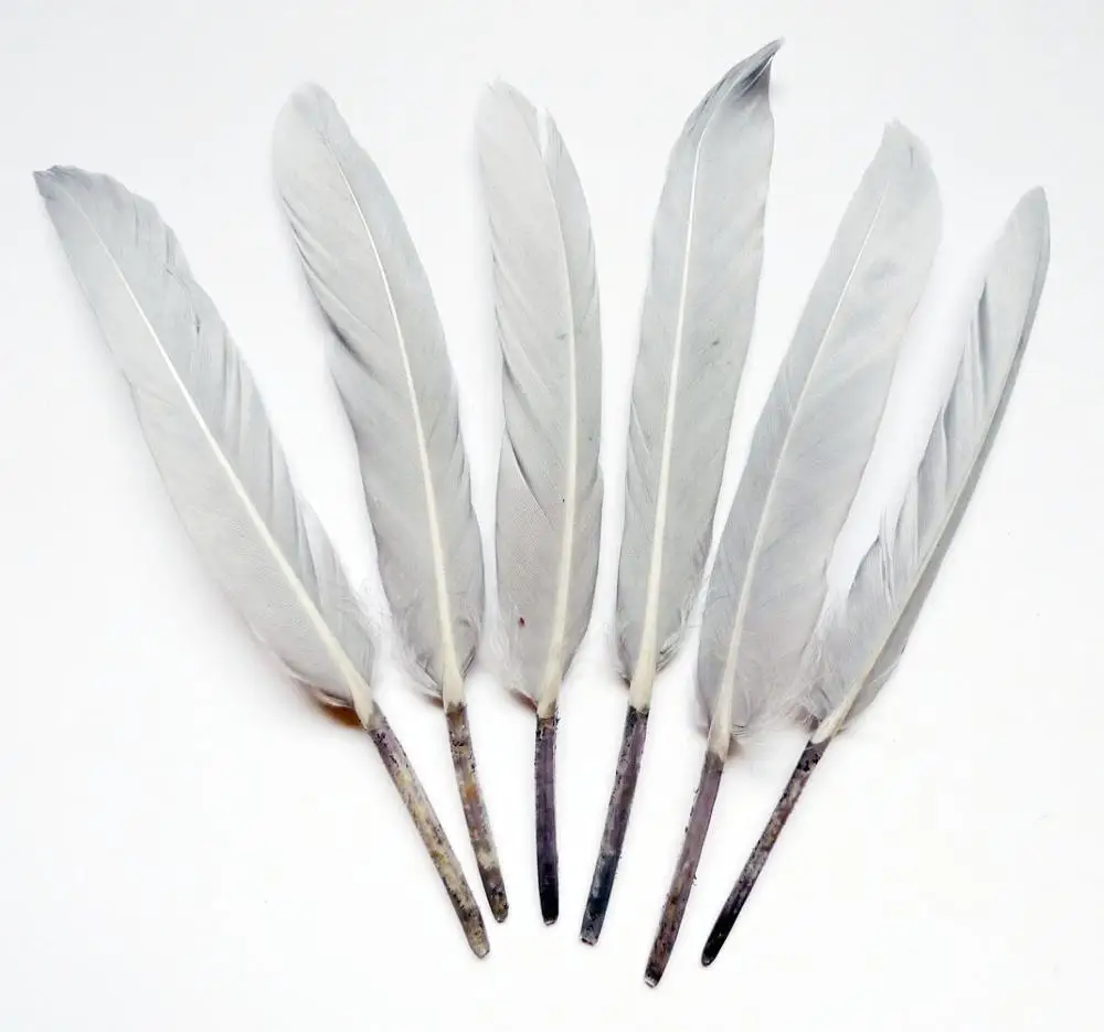 

Wholesale 1000Pcs Gray Goose Feathers 10-15cm plumes for DIY Crafts Wedding dreamcather Decoration Plumas Earring Accessories