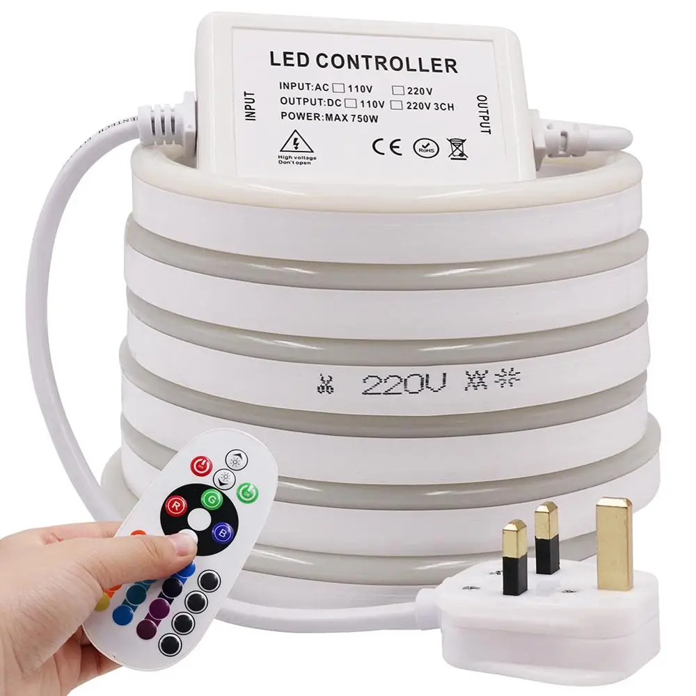 cheap 220V Neon Tube LED Lights 2835 1M 100M Strip Tape 120Leds m Waterproof Neon Ribbon With UK Power Plug 24Key IR RGB Controller