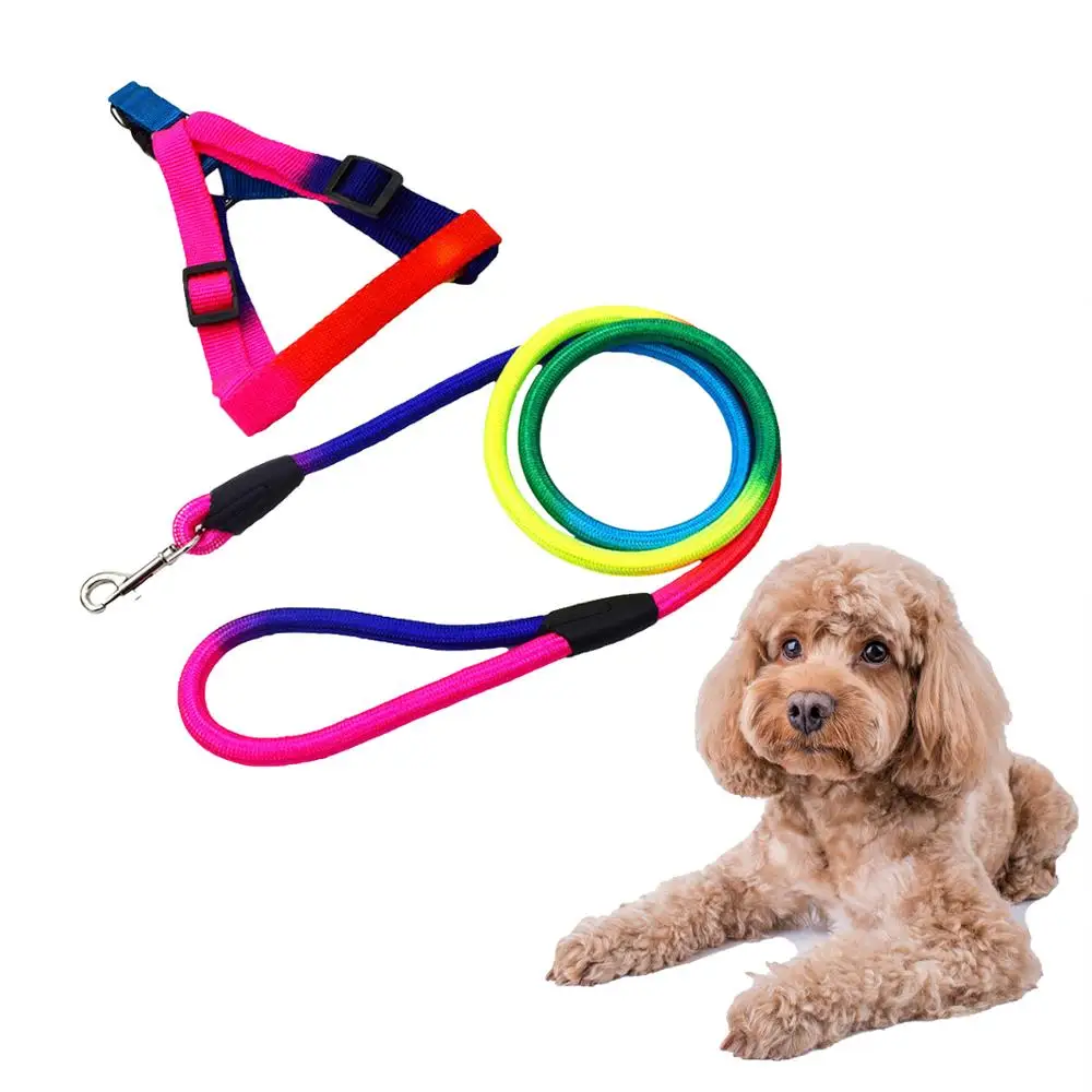Cane peluche giocattolo arcobaleno per cane guinzaglio-si adatta a molti formati di cane 