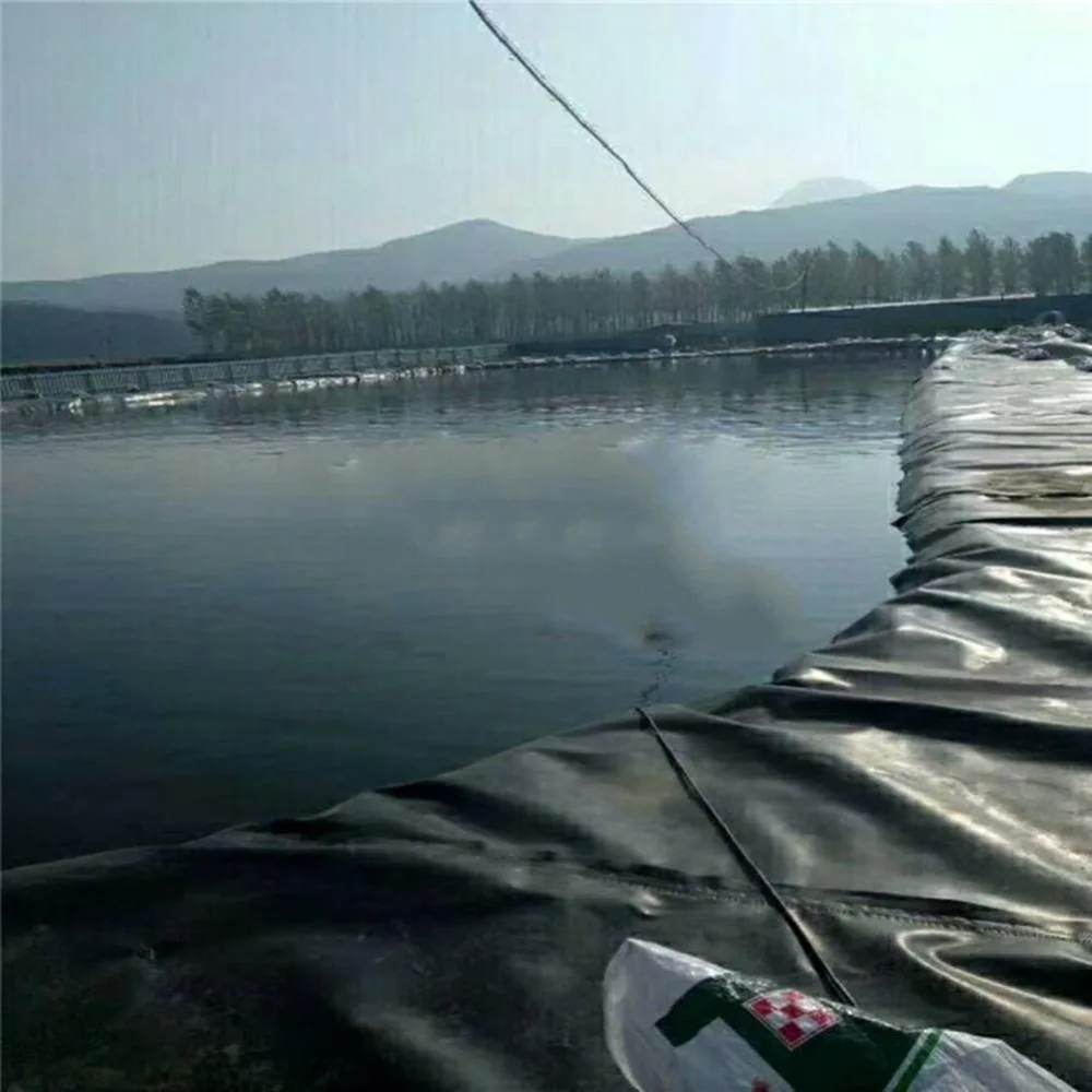 2ae8a7369561dff90a29ae34c77c4854