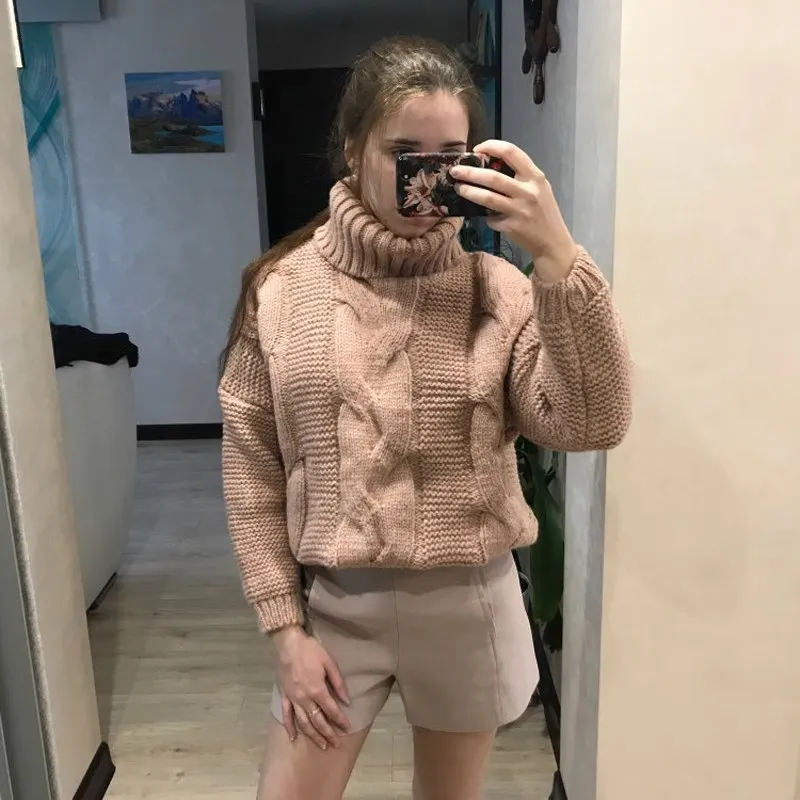 

2019 Fall Winter Women Casual Solid Loose Sweater Female Long Sleeve Pullover Bat Sleeve Turtleneck Sweater