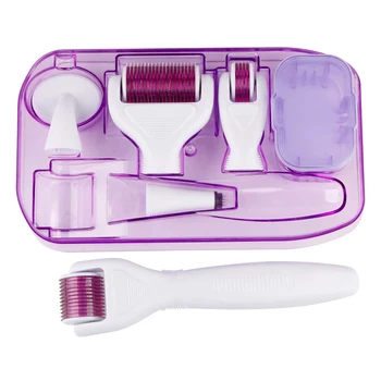 

6Pcs/Set 0.5/1.0/1.5mm Needle Rollers 6 In 1 Face Roller Needle Silicone Brush Disinfecting Tray
