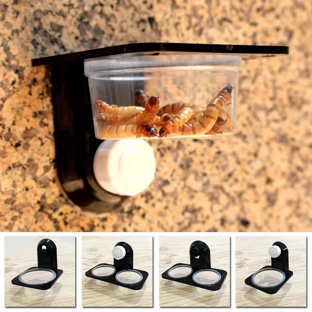 1pcs ABS Reptile Tank Food Water Feeding Bowl Insect Spider Ants Nest Snake Gecko Terrarium Breeding Feeders Box Pets Supplies 2